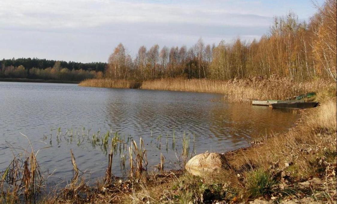 Noclegi Nad Jeziorem W Puszczy Zielonka Kaminsko Exteriér fotografie